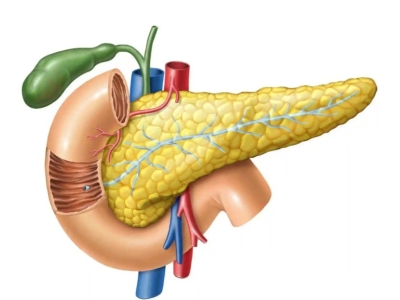 干細(xì)胞為什么可以治療2型糖尿病？