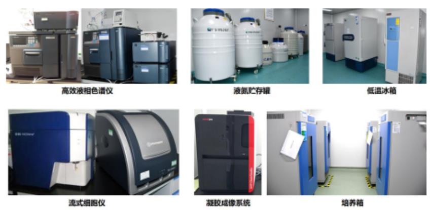 達(dá)博生物 CDMO 服務(wù)平臺(tái)