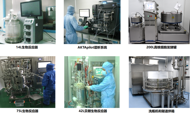 真核細(xì)胞發(fā)酵平臺(tái)
