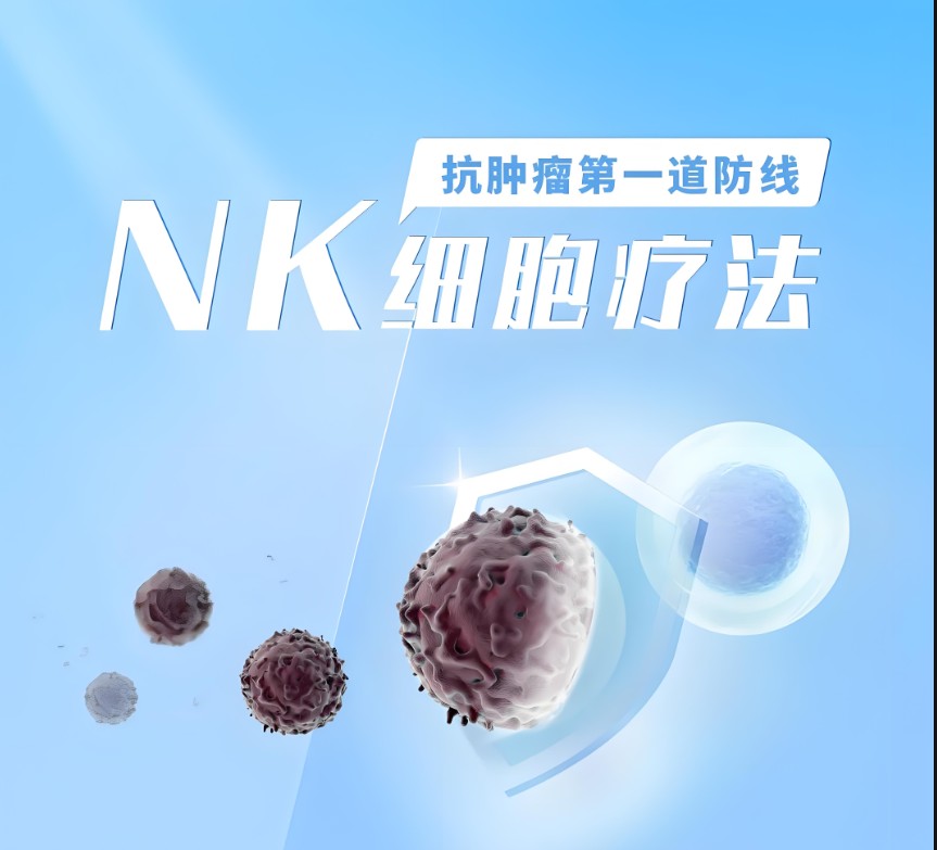 NK細(xì)胞療法